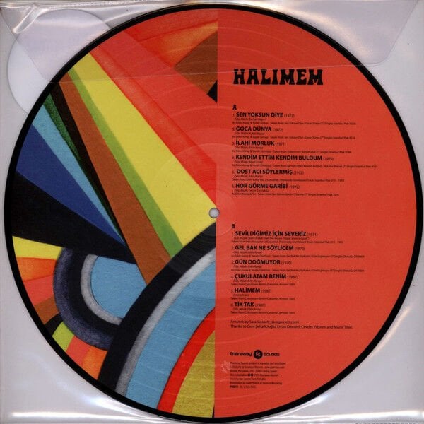 ERKİN KORAY - HALİMEM (2020) - LP COMPILATION 2022 PICTURE DISC EDITION REISSUE SIFIR PLAK