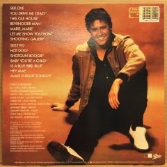 SHAKIN' STEVENS - GET SHAKIN' (1981) 2.EL PLAK