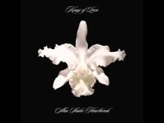 KINGS OF LEON - AHA SHAKE HEARTBREAK (2004) - SIFIR 2PLAK