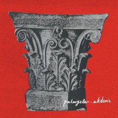 PALMİYELER - AKDENİZ (2020) - LP SIFIR PLAK