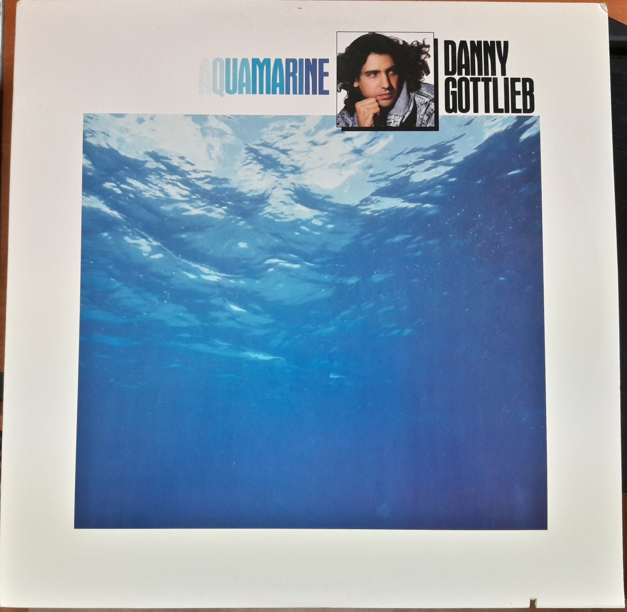 DANNY GOTTLIEB - AQUAMARINE (1987) - 2.EL PLAK