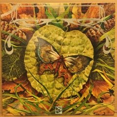 SPYRO GYRA - MORNING DANCE (1979) - PLAK 2.EL