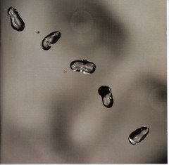 PETER GABRIEL - UP (2002) - CD 2.EL