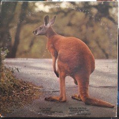 PETER KAUKONEN - BLACK KANGAROO (1972) - 2.EL PLAK