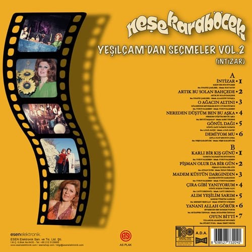 NEŞE KARABÖCEK - YEŞİLÇAM'DAN SEÇMELER VOL 2 - LP 180GR 2025 BASIM SIFIR PLAK