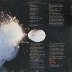 PARLIAMENT - GLORYHALLASTOOPID OR PIN THE TALE ON THE FUNKY (1979) - PLAK SIFIR