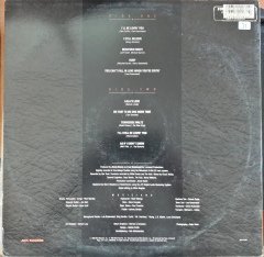 LEE GREENWOOD - THIS IS MY COUNTRY (1988) - PLAK 2.EL