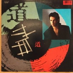 RICK SPRINGFIELD - TAO (1985) 2.EL PLAK