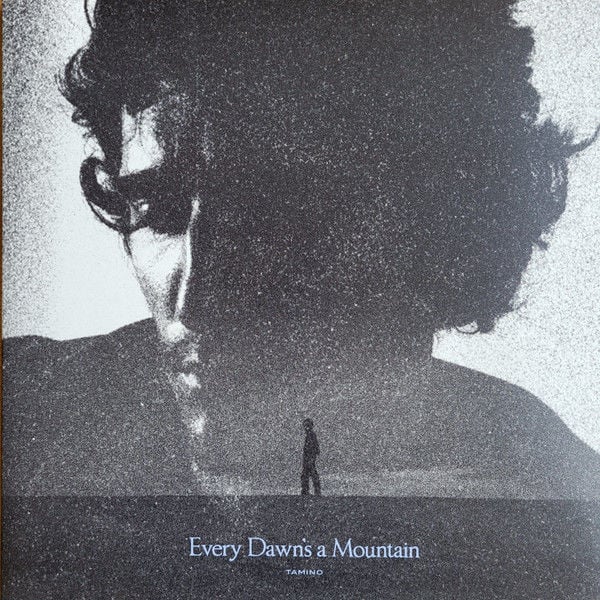 TAMINO - EVERY DAWN'S A MOUNTAIN (2025) - LP BLACK & SILVER MARBLED COLOURED EDITION SIFIR PLAK