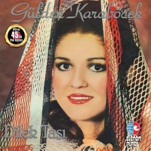 GÜLDEN KARABÖCEK - DİLEK TAŞI - LP COMPILATION 2022 BASIM SIFIR PLAK
