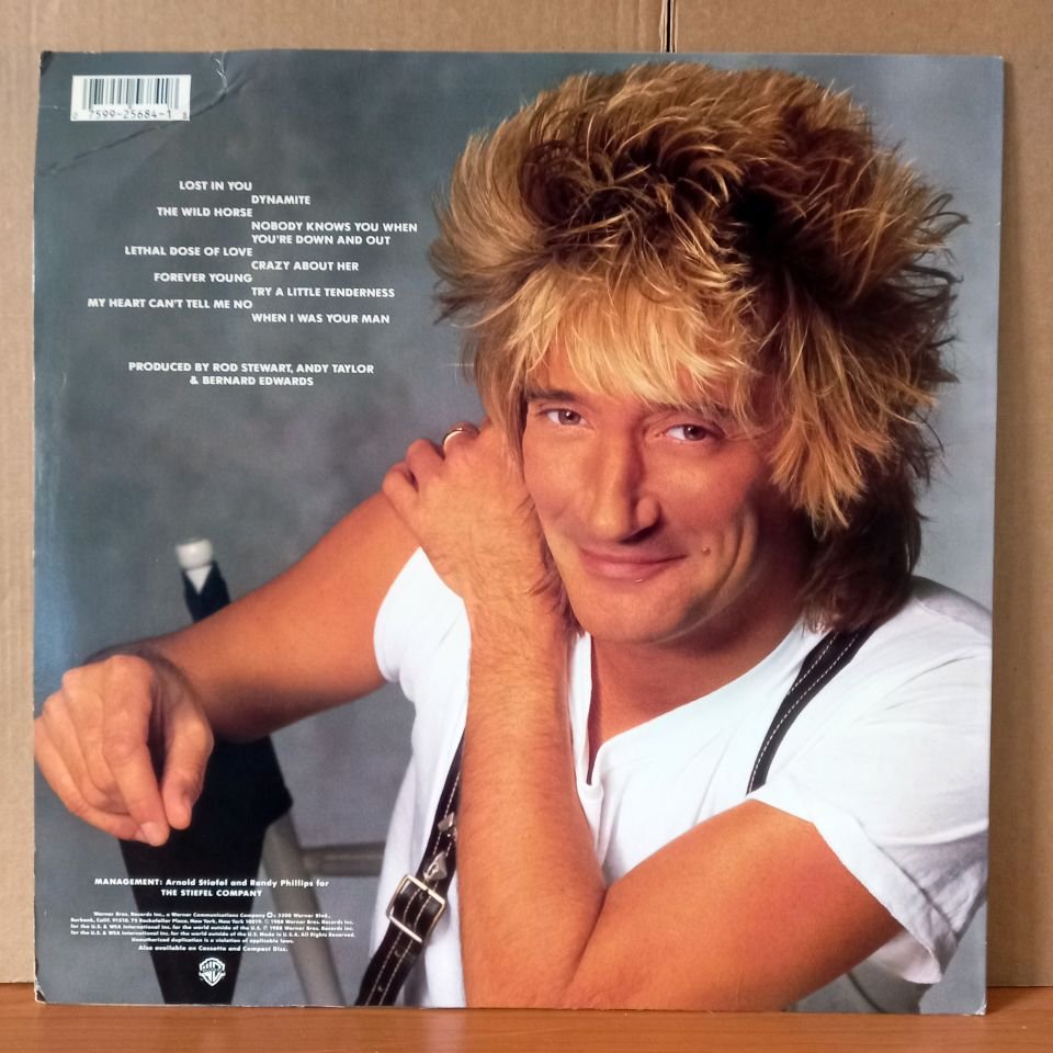 ROD STEWART – OUT OF ORDER (1988) - LP 2.EL PLAK