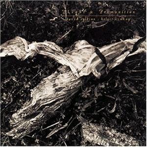 DAVID SYLVIAN HOLGER CZUKAY - PLIGHT & PREMONITION (1988) - CD 2.EL