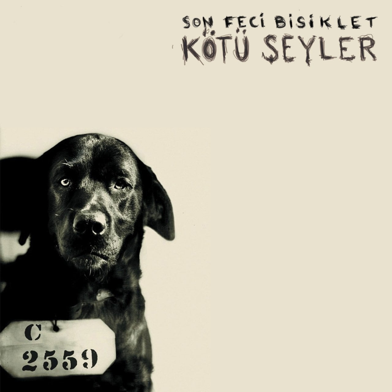 SON FECİ BİSİKLET KÖTÜ ŞEYLER (2017) CD SIFIR