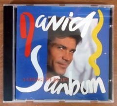 DAVID SANBORN - A CHANGE OF HEART CD 2.EL