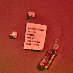 LIN PESTO - SON (2019) - LP INDIE POP SIFIR PLAK