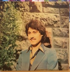 VAHDET VURAL - VAHDET VURAL 2 - LP FANTEZİ ARABESK 2.EL PLAK