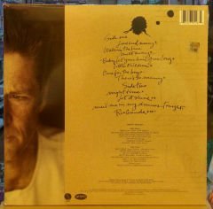 BRIAN WILSON 1988 SAME TITLE LP SIFIR