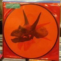 ALICE IN CHAINS - THE DEVIL PUT DINOSAURS HERE