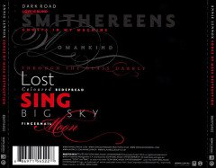 ANNIE LENNOX (EURYTHMICS) - SONGS OF MASS DESTRUCTION (2007) - CD SIFIR