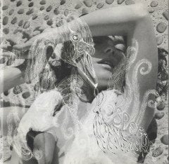 BJORK - VESPERTINE (2001) - CD SIFIR