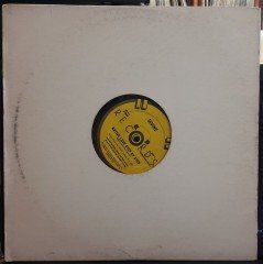 DIVINE - NATIVE LOVE STEP BY STEP (1982) - 12'' MAXI SINGLE VINYL PLAK 2.EL