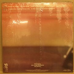 JOHN COUGAR MELLENCAMP - AMERICAN FOOL (1982) - PLAK 2.EL