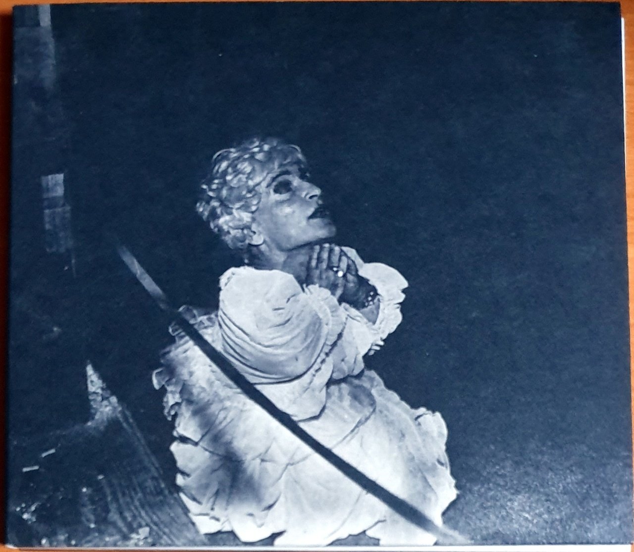 DEERHUNTER - HALCYON DIGEST (2010) - CD 4AD 2.EL