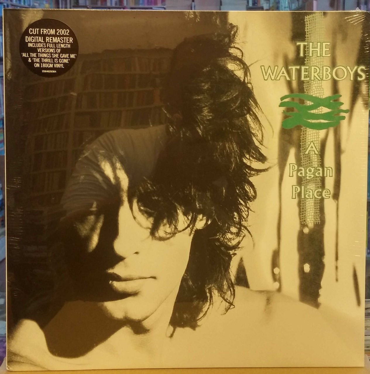 WATERBOYS A PAGAN PLACE (1985) LP 180GR SFR