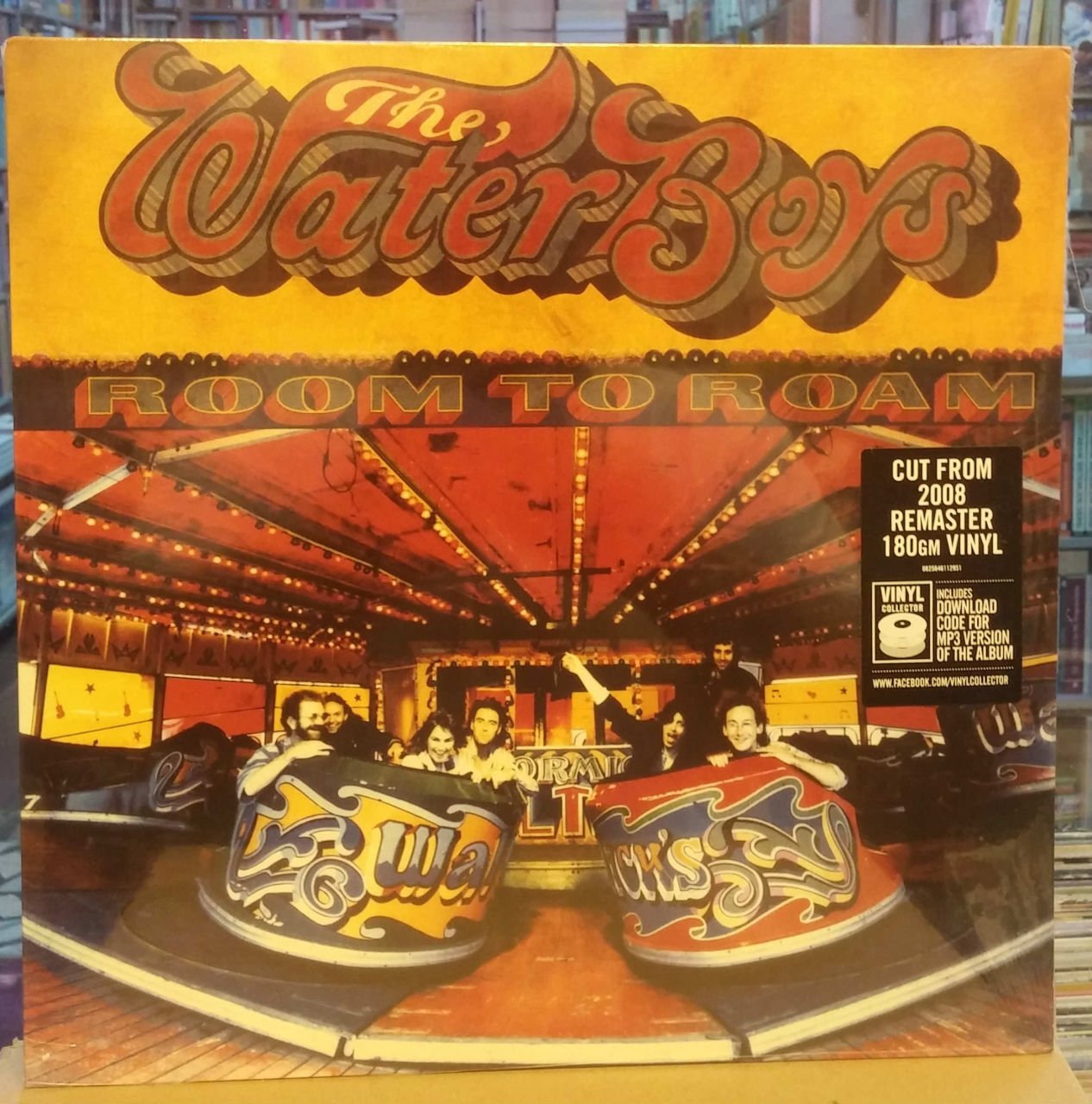 WATERBOYS ROOM TO ROAM (1990) LP 180GR SFR