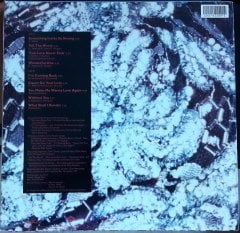 VANESSA BELL ARMSTRONG - WONDERFUL ONE (1989) - 2.EL PLAK