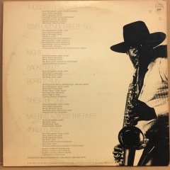 BRUCE SPRINGSTEEN - BORN TO RUN (1975) - 2.EL PLAK