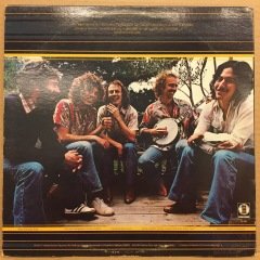 BERNIE LEADON & MICHAEL GEORGIADES BAND - NATURAL PROGRESSIONS 1977 2.EL PLAK
