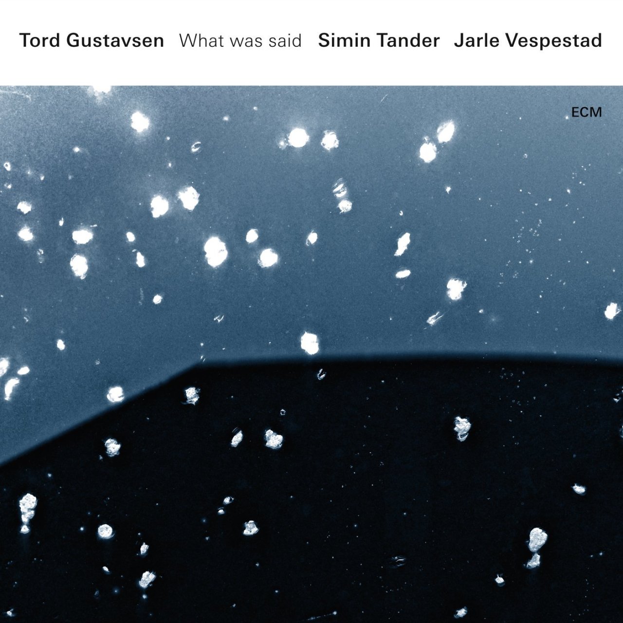 TORD GUSTAVSEN - WHAT WAS SAID (2016) - 2LP 180GR ECM RECORDS SIFIR PLAK