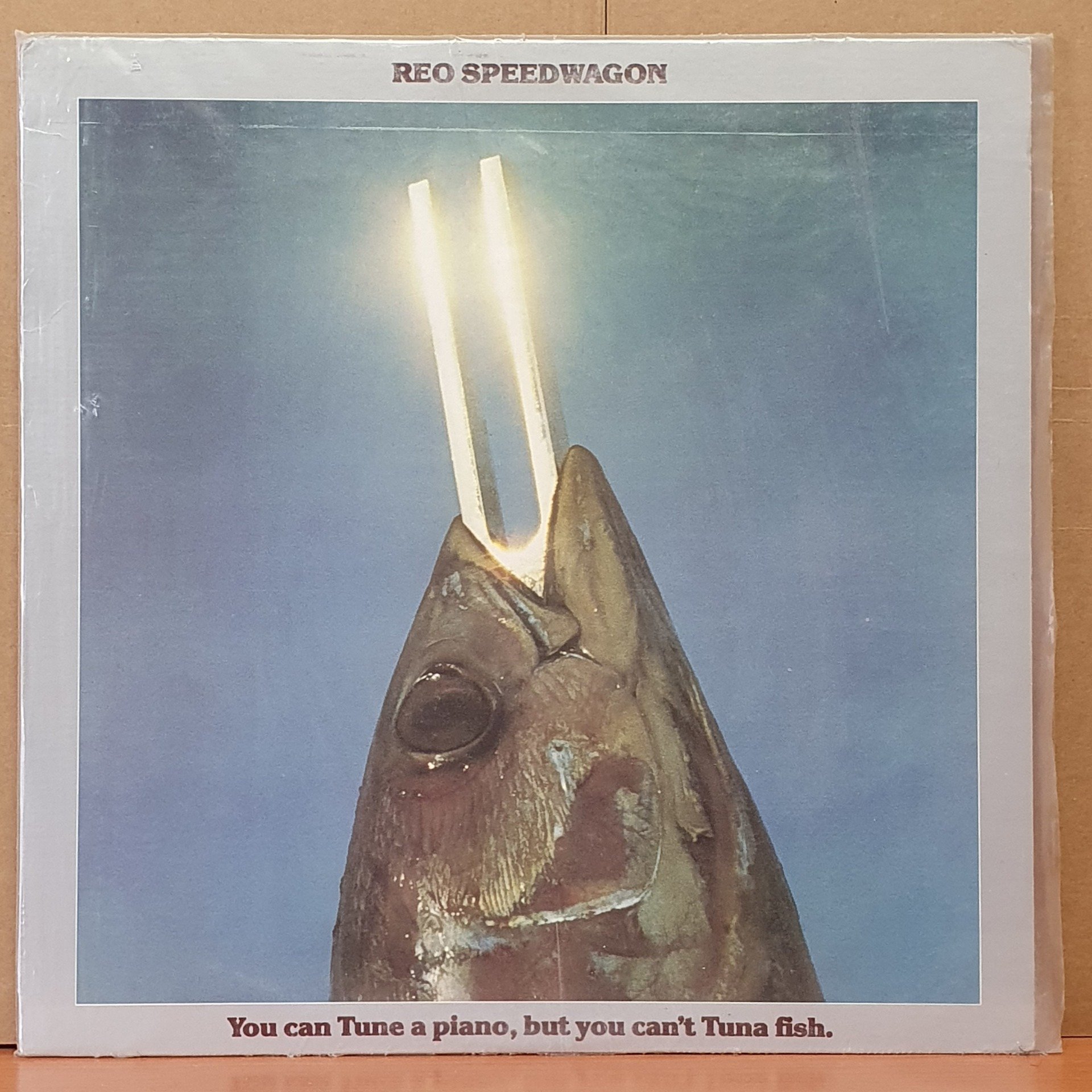 REO SPEEDWAGON - YOU CAN TUNE A PIANO, BUT YOU CAN'T TUNA FISH (1978) - LP 2.EL PLAK