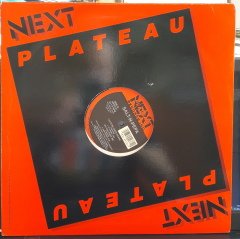SALT'N'PEPA - DO YOU WANT ME (1990) - 12'' MAXI SINGLE VINYL PLAK 2.EL