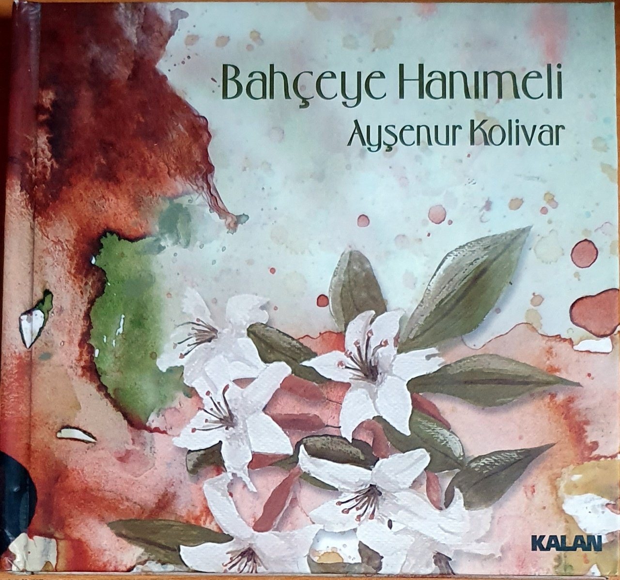 AYŞENUR KOLİVAR - BAHÇEYE HANIMELİ (2012) - 2CD KALAN MÜZİK 2.EL