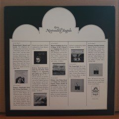 LISTEN TO THE NOVEMBER ANGELS - LP 2.EL PLAK
