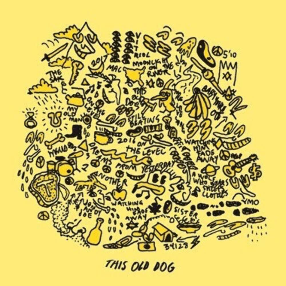 MAC DEMARCO - THIS OLD DOG (2017) - LP GATEFOLD SIFIR PLAK