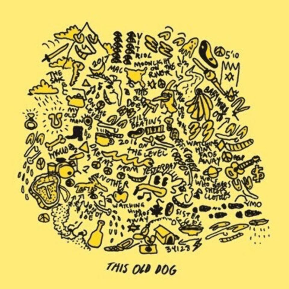 MAC DEMARCO - THIS OLD DOG (2017) - LP GATEFOLD SIFIR PLAK