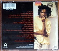 BASQUIAT SOUNDTRACK / PUBLIC IMAGE LTD, TOADIES, PJ HARVEY, JOY DIVISION, TOM WAITS, DAVID BOWIE (1996) ISLAND CD 2.EL