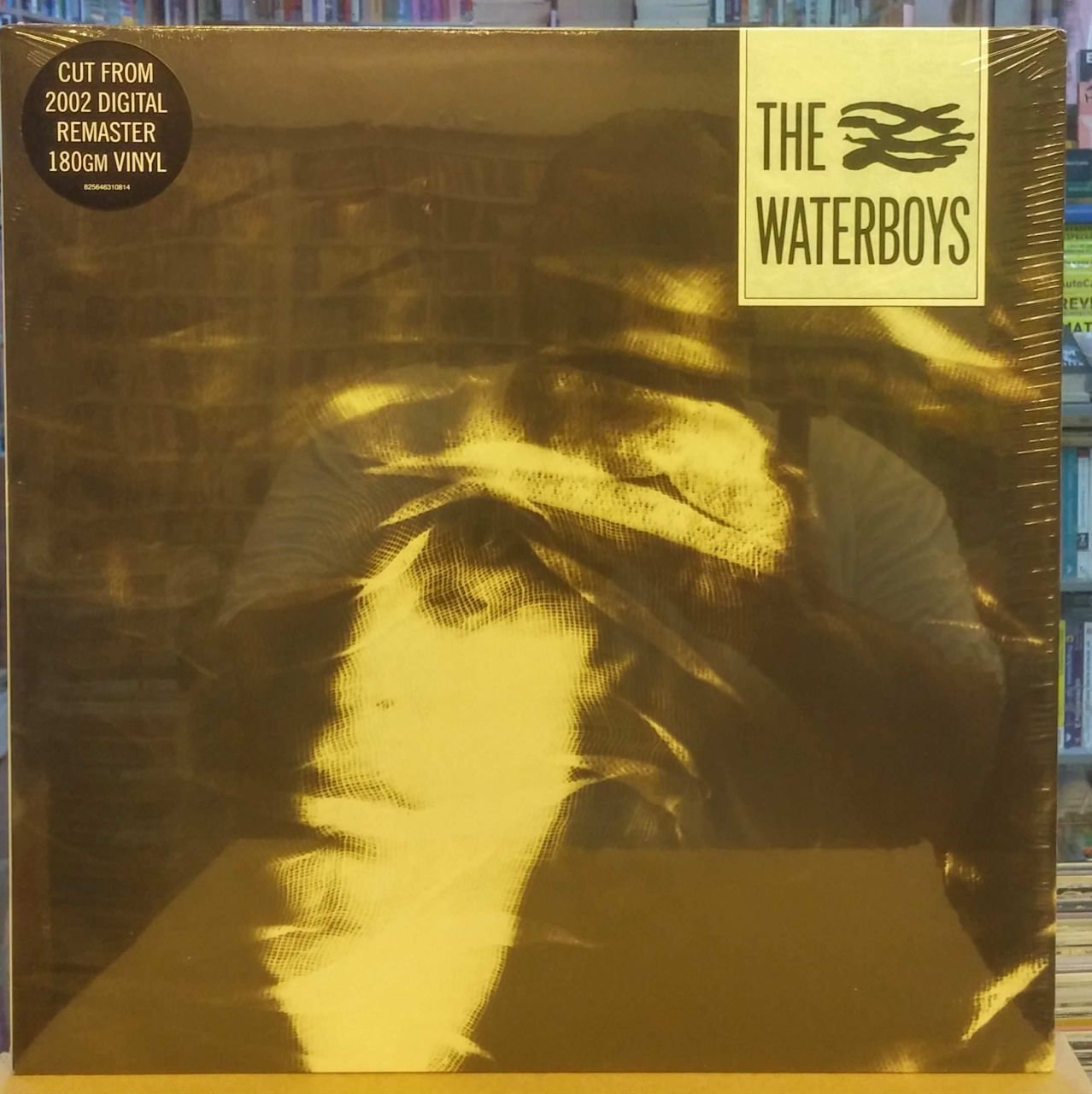 WATERBOYS 1983 same title LP 180GR SFR