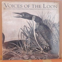 VOICES OF THE LOON (1980) - DÖNEM BASKISI SIFIR LP PLAK