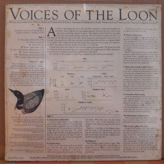 VOICES OF THE LOON (1980) - DÖNEM BASKISI SIFIR LP PLAK