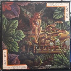 SPYRO GYRA - CATCHING THE SUN (1980) - PLAK 2.EL