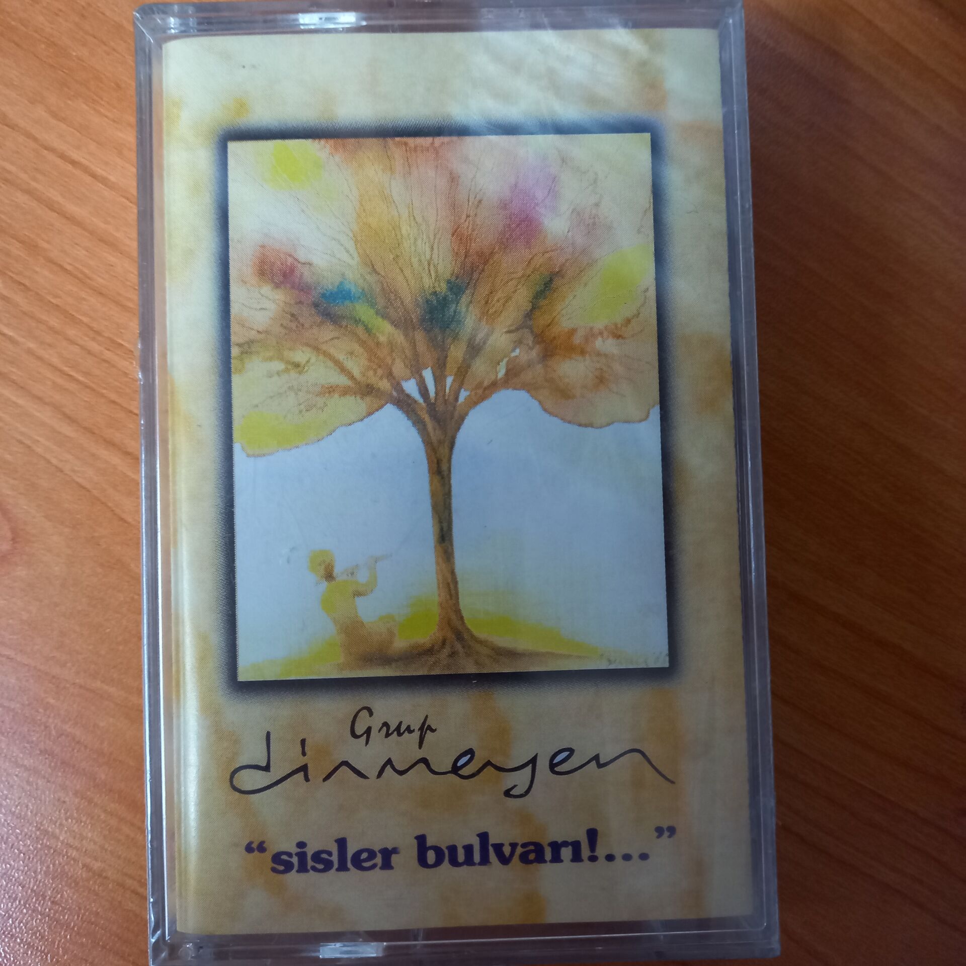 GRUP DİNMEYEN - SİSLER BULVARI!... - KASET SIFIR