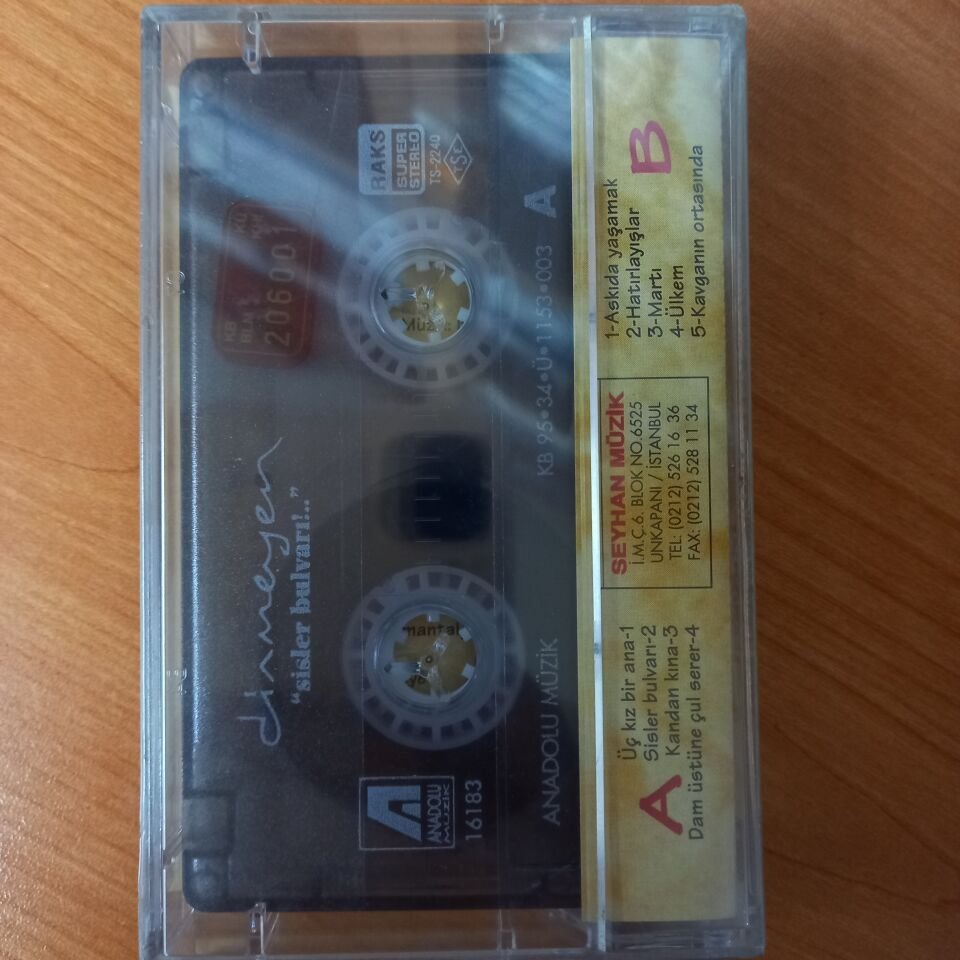 GRUP DİNMEYEN - SİSLER BULVARI!... - KASET SIFIR