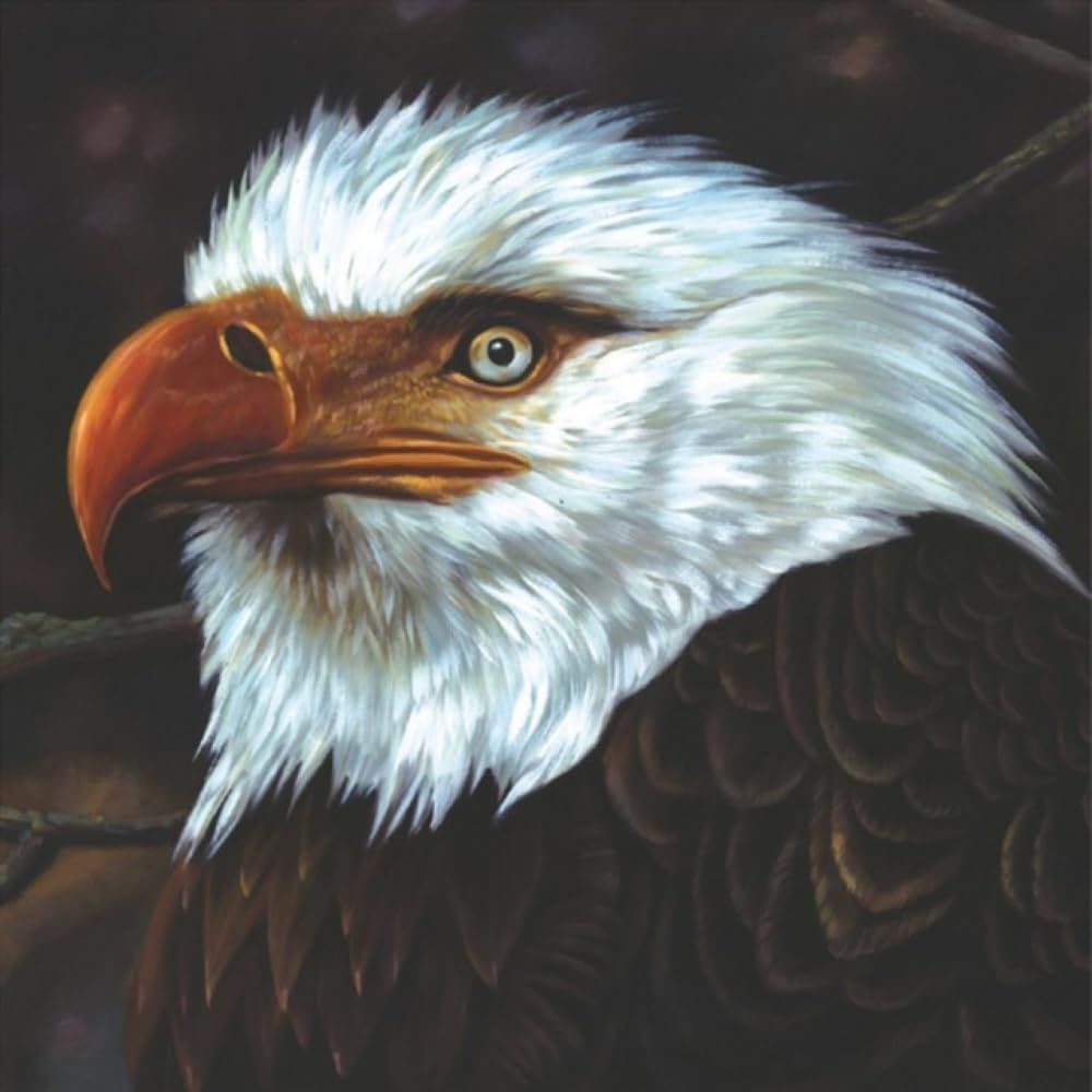 MOGWAI - THE HAWK IS HOWLING (2008) - 2LP POST ROCK WHITE COLOURED 2023 EDITION SIFIR PLAK