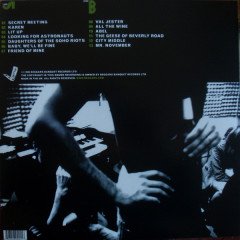 THE NATIONAL - ALLIGATOR (2005) - LP 2017 BASIM SIFIR PLAK