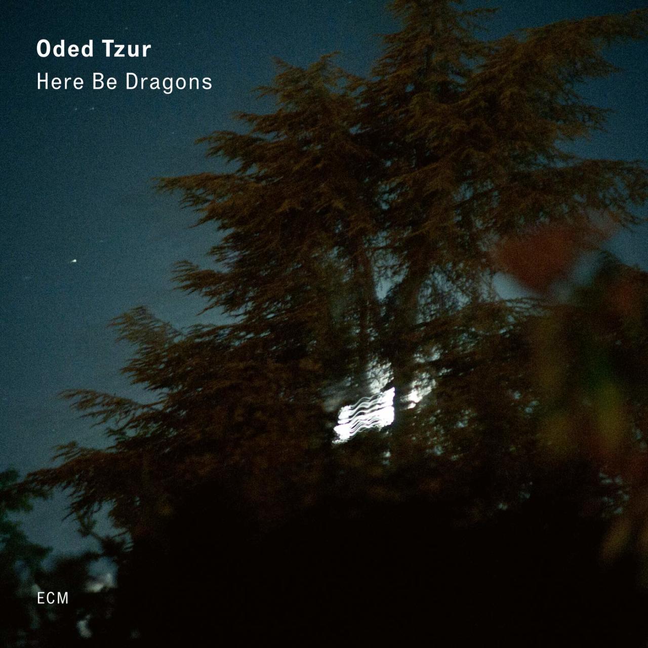 ODED TZUR - HERE BE DRAGONS (2020) - LP ECM RECORDS SIFIR PLAK