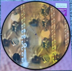 BRITNEY SPEARS - OOPS I DID IT AGAIN (2000) - LP 2020 EDITION PICTURE SIFIR PLAK SIFIR PLAK